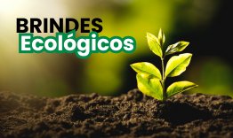 Brindes Ecolgicos Personalizados